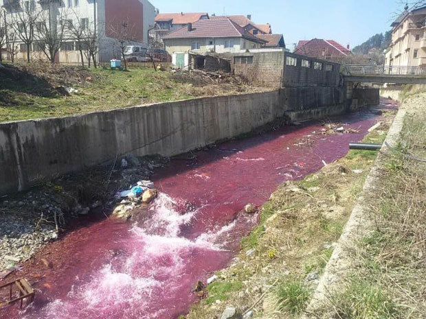 ОФАРБАЛИ ЉЕШНИЦУ И ЛИМ: Светски дан вода необично обележен у Бијелом Пољу